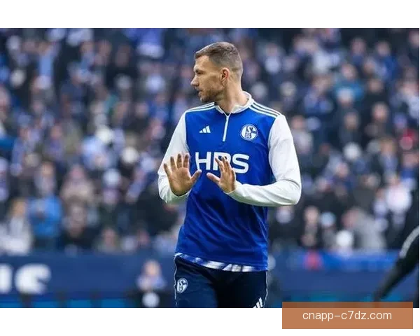 哲科加盟沙尔克万事俱备待官宣 哲科加盟沙尔克万事俱备待官宣