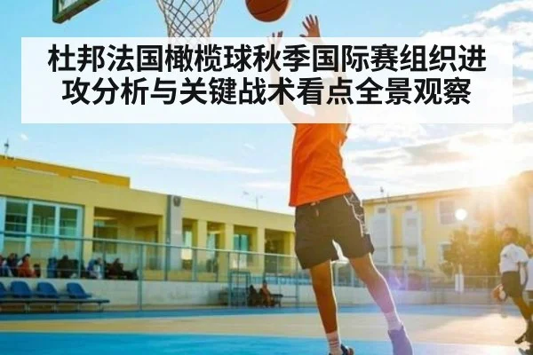 杜邦法国橄榄球秋季国际赛组织进攻分析与关键战术看点全景观察（c7c7）
